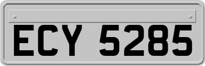 ECY5285