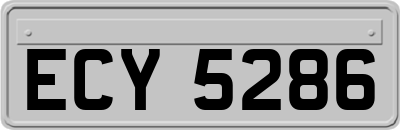ECY5286