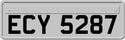 ECY5287
