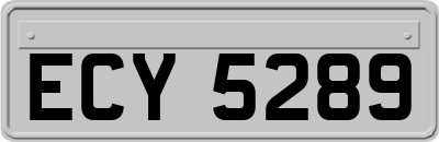 ECY5289