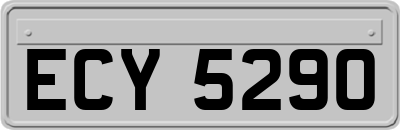 ECY5290