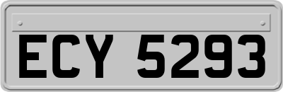 ECY5293