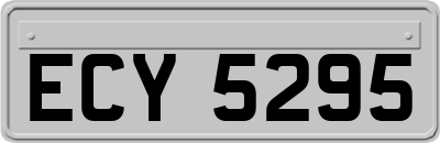 ECY5295