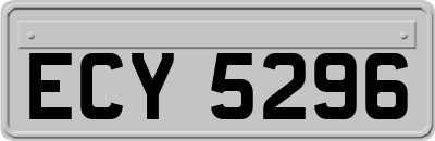 ECY5296
