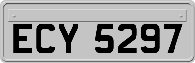 ECY5297
