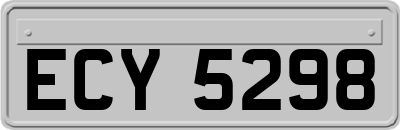 ECY5298