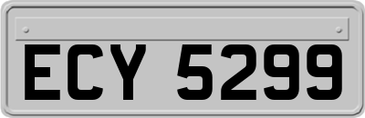 ECY5299