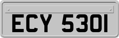 ECY5301