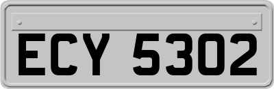 ECY5302