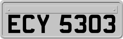 ECY5303