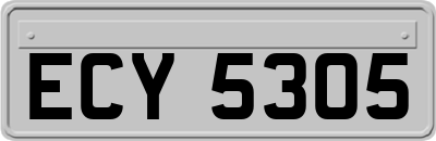 ECY5305