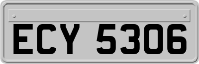 ECY5306