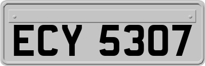 ECY5307