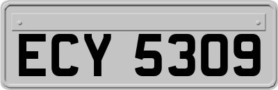 ECY5309