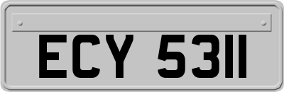 ECY5311