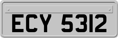 ECY5312