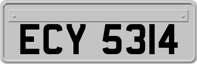 ECY5314