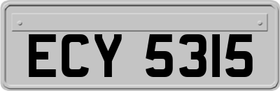 ECY5315