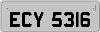 ECY5316