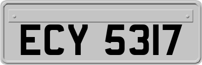 ECY5317