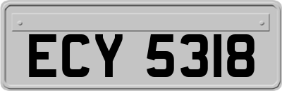 ECY5318
