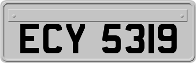 ECY5319
