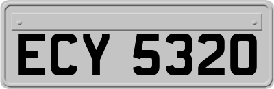 ECY5320