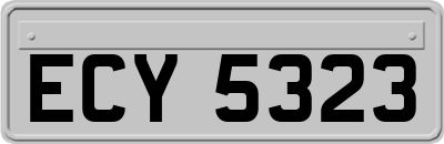 ECY5323