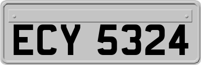 ECY5324