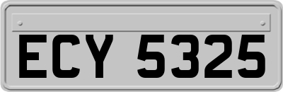 ECY5325