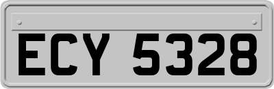 ECY5328