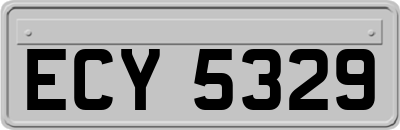ECY5329