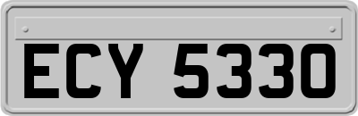 ECY5330