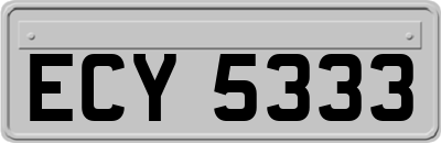 ECY5333