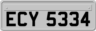 ECY5334