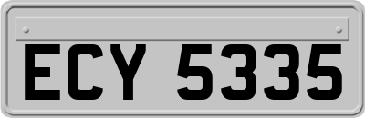 ECY5335
