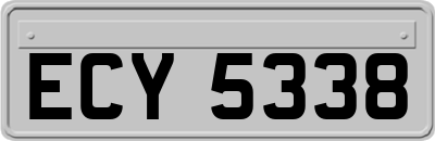 ECY5338