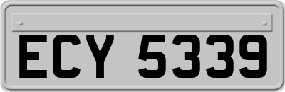 ECY5339