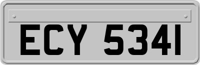ECY5341