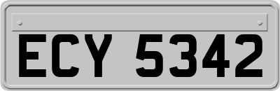 ECY5342