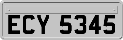 ECY5345