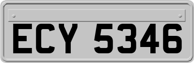ECY5346
