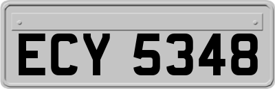 ECY5348
