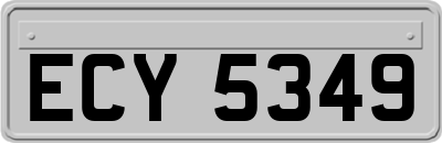 ECY5349