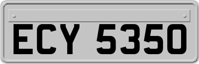 ECY5350