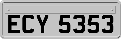 ECY5353