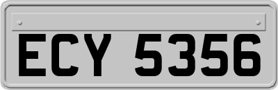 ECY5356