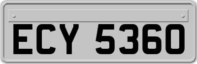 ECY5360