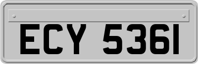 ECY5361