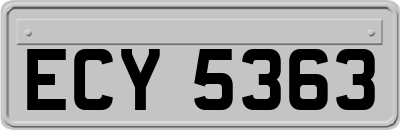 ECY5363